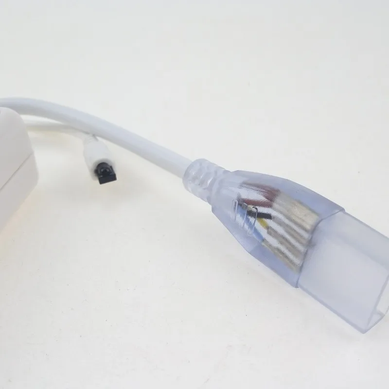 AC 220 V Светодиодные ленты 5050 RGB Водонепроницаемый IP67 трубки удаленным Управление 50 m 5 m 4 м европейский шнур питания 220 В переменного тока для сада отель Декор «здания»