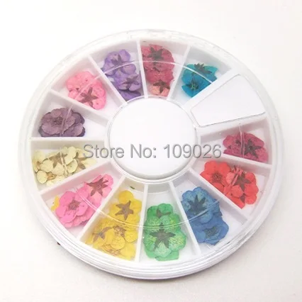 72 шт. 12 цветов сушеные цветы украшения для ногтей из акрила|acrylic nail art|nail art