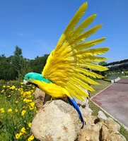 beautiful feathers parrot spreading wings parrot large 45x60cm bird model handicraftprophome garden decoration gift p2880