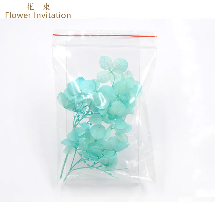 tiffany blue5 pieces Цветочные приглашения маленькие листья высокого качества Гортензия_ DIY ручные образцы растений сушеные цветы - Цвет: tiffany blue5 pieces
