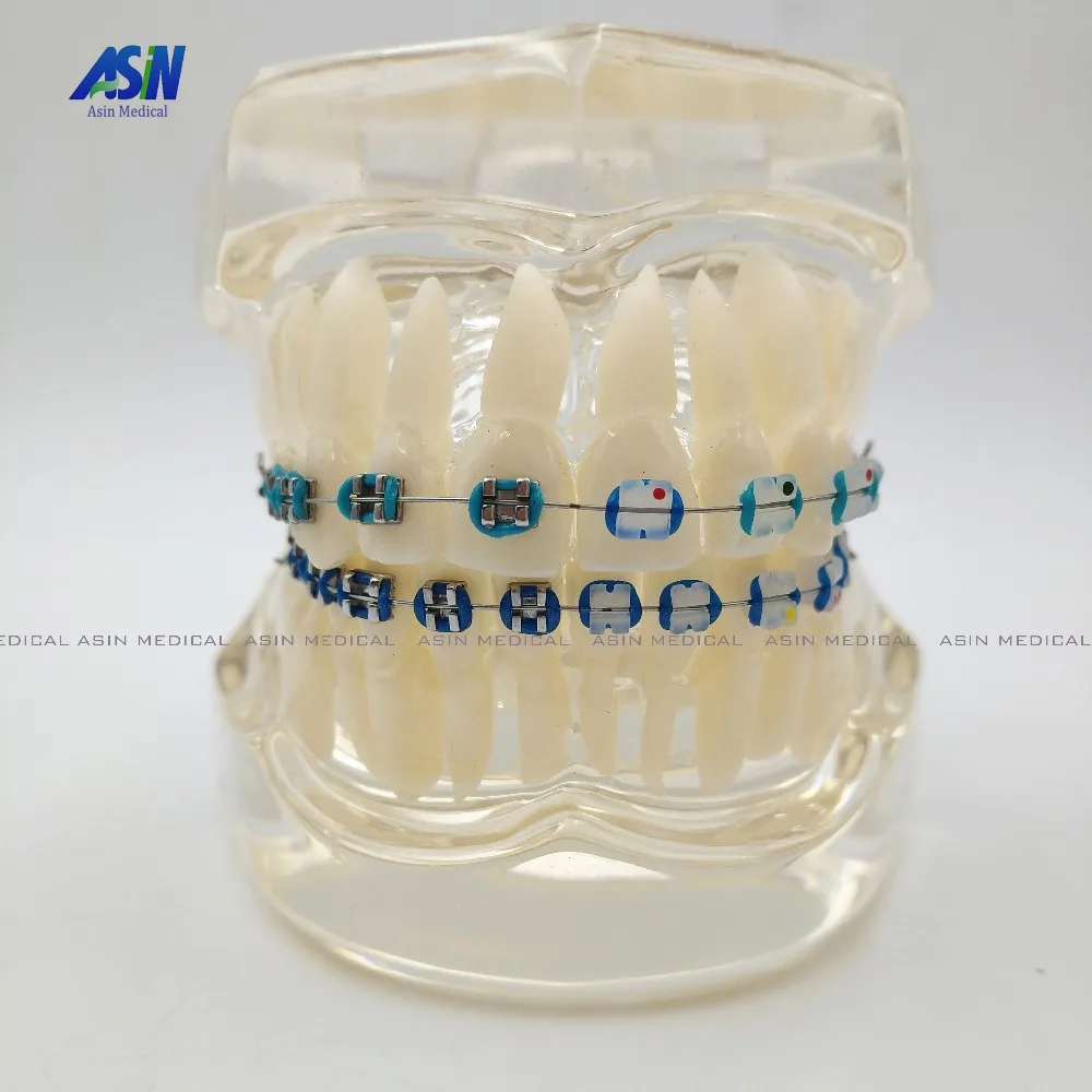 Новое поступление Стоматологическая Ортодонтическая пластина для Typodont зубы