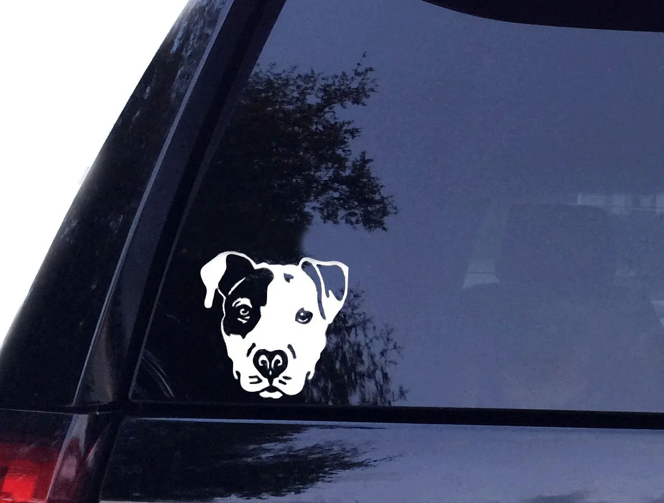 

PIT Face - Pit bull Pitbull Dog Vinyl Car Decal, Laptop Decal, Car Window Wall Sticker (4in, White)