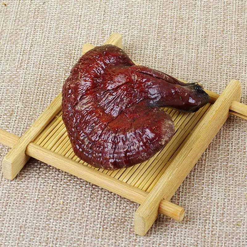 1000g Ganoderma Lucidum Dried Wild Red Lingzhi Reishi Mushrooms Chinese Natural Anti-cancer Health Care Medicine Herbal H2019-45 |