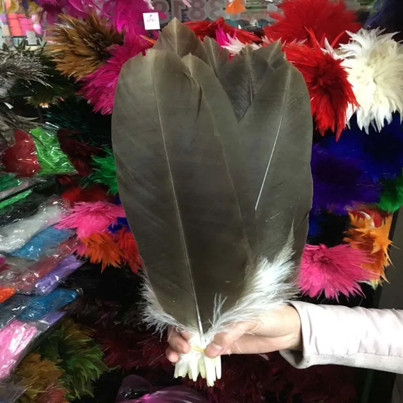 

Beautiful! 50 pcs14-16inch / 35-40cm centimeters of precious natural eagle feathers, various pheasant feather decoration.