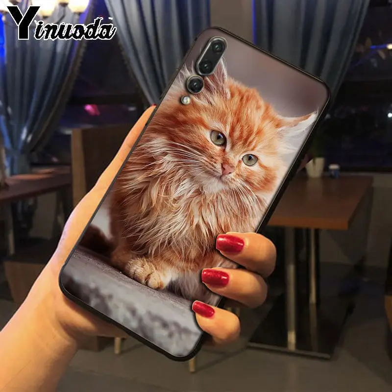 Yinuoda pet maine coon cat черный мягкий силиконовый чехол для телефона huawei p20 pro p20lite mate10pro nova