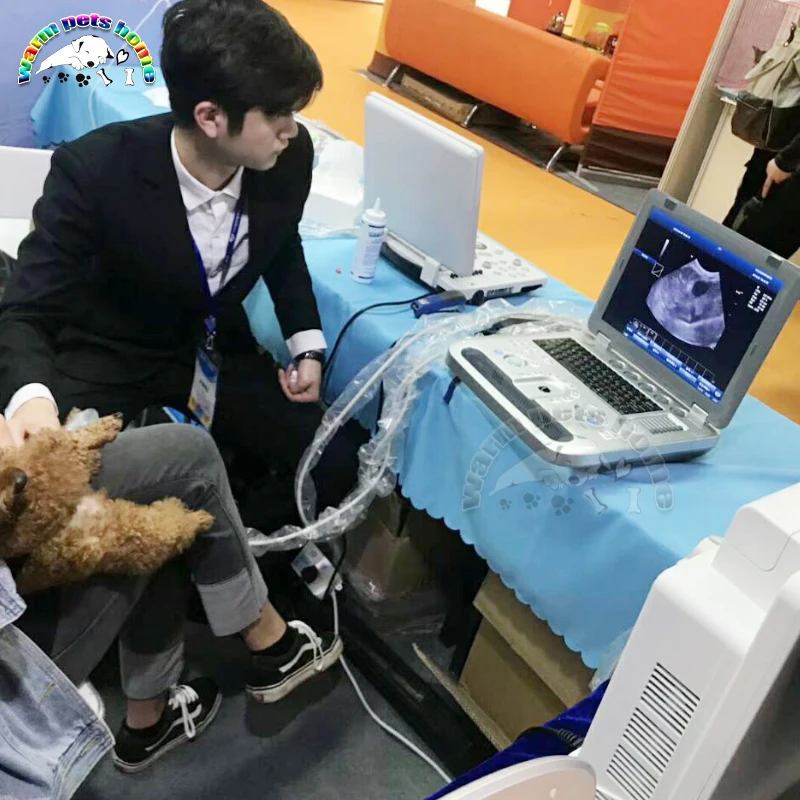 Ультразвуковой доплеровский 3d аппарат для собак кошек и животных 128 г