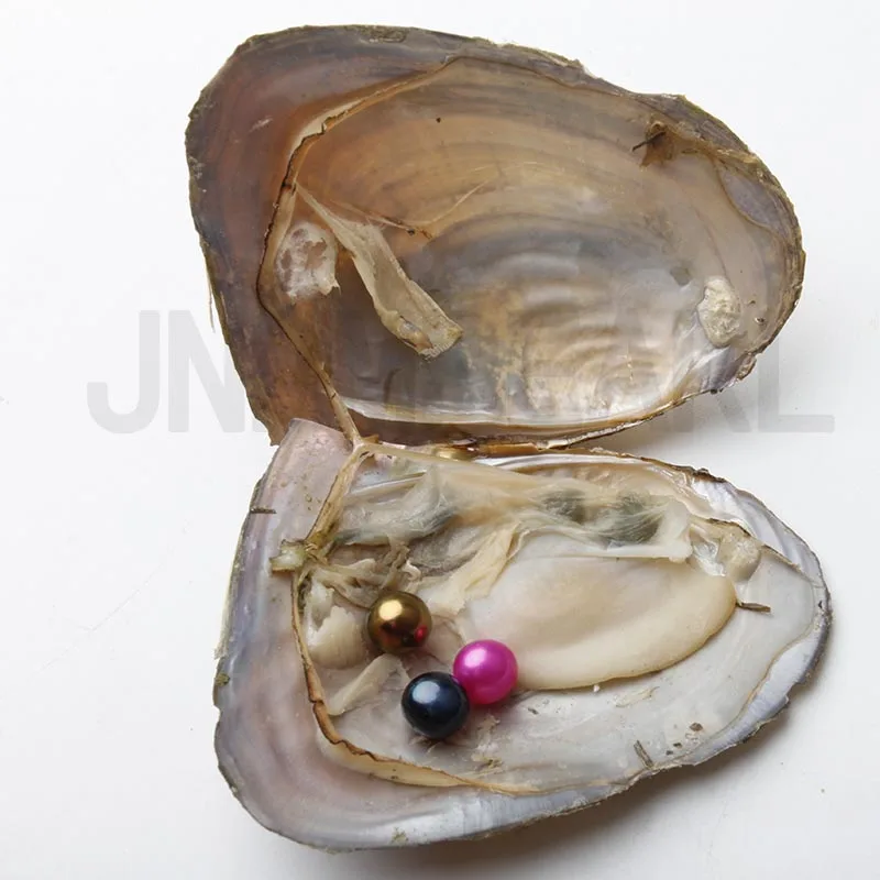 JNMM 30Pcs Freshwater Oysters with Three Pearl Beads 7-8mm Round Shape pearls for DIY Gift Jewelry Vacuum-packed | Украшения и
