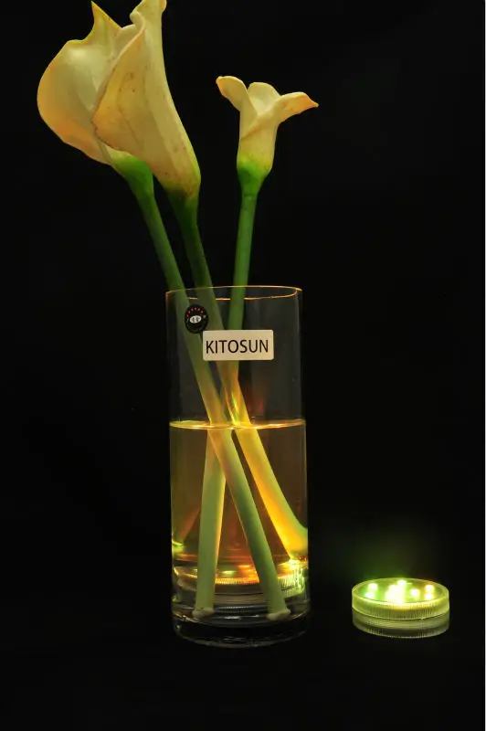 1 шт./партия светодиодный RGB-светильник для цветов |