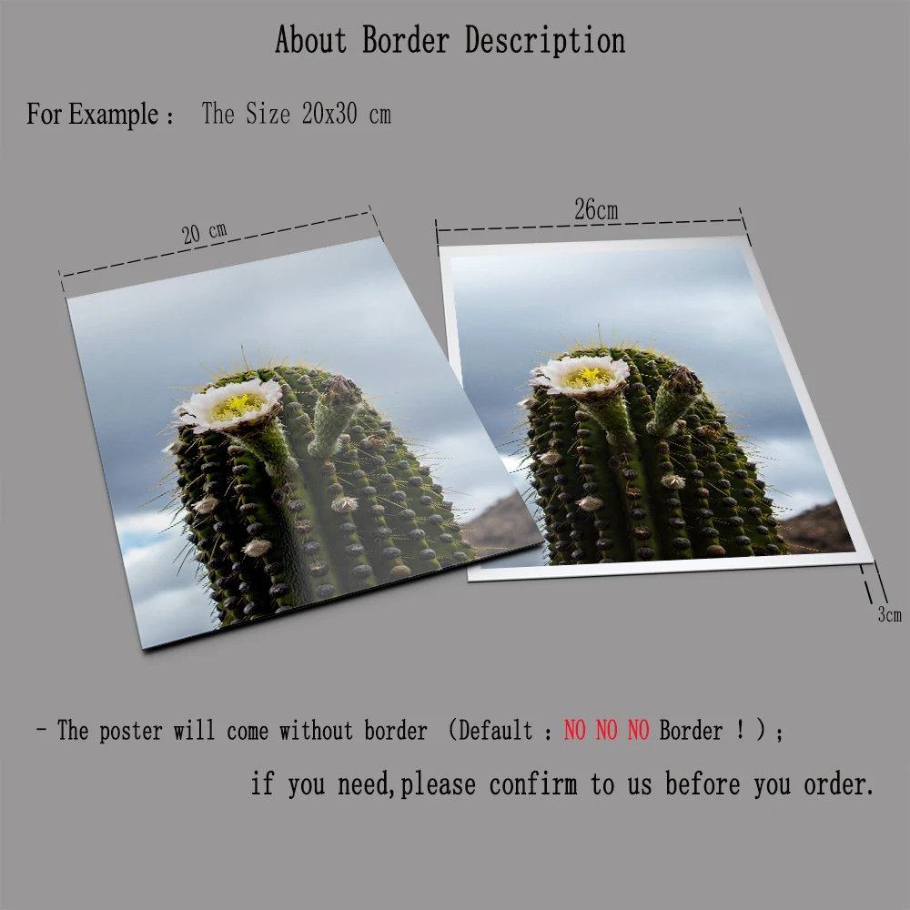 Цветочный холст картина кактус настенный художественный постер скандинавский