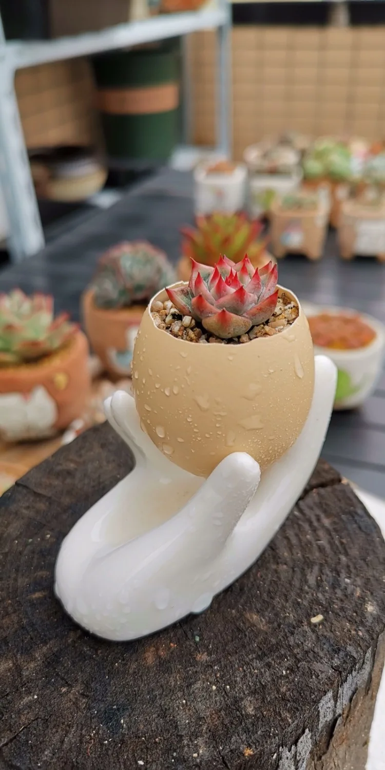 8 шт. керамический держатель для яиц в форме руки мягкий или твердый вареный