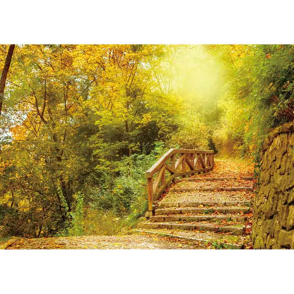 Allenjoy осенний фон для фотосъемки каменные лестницы деревья упавшие листья