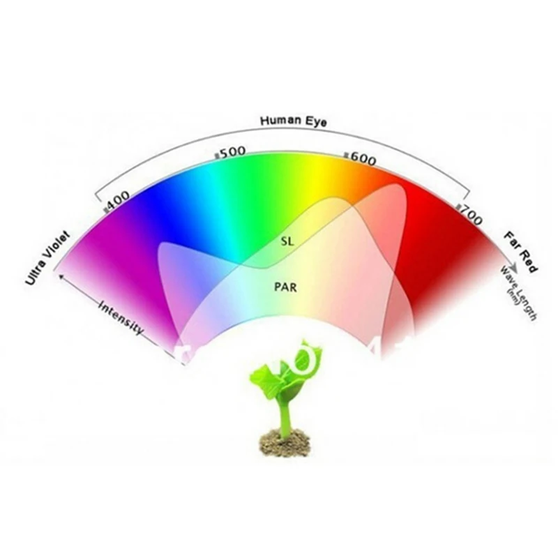 

LED Grow Light E27 E26 110V 220V Full Spectrum Growing Lamps Indoor Plant Lamp For Plants Vegs Hydroponic System Plant