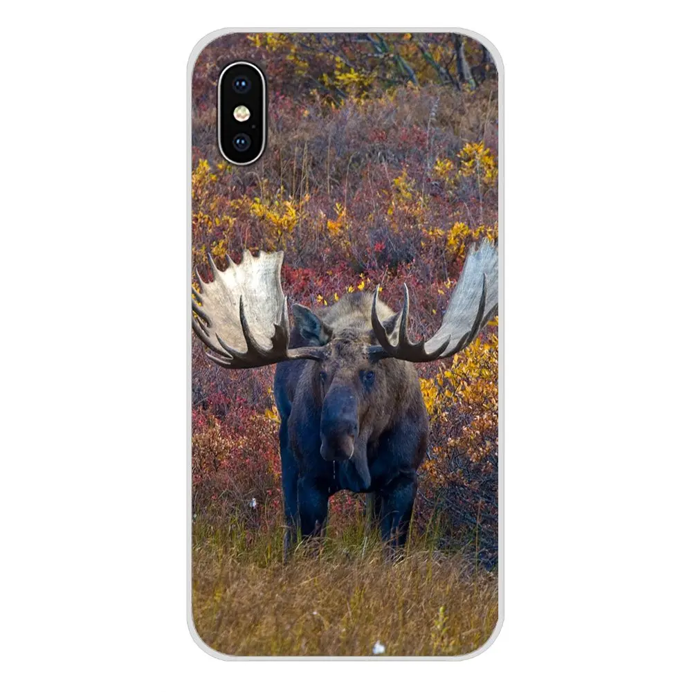 Животное Аляска Булл Moose аксессуары чехол для телефона Чехлы Apple iPhone X XR XS MAX 4 4S 5 5S 5C