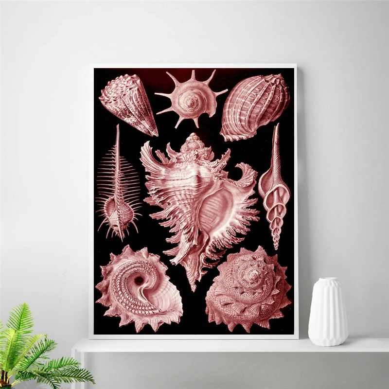 Винтажный Шелковый постер с морскими ракушками Haeckel домашний декор 24x32