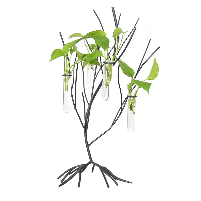 

Home Decor Nordic Fortune Tree Hydroponic Glass Vase Home Decor ZAKKA Test Tube Vase Micro-landscape Hydroponic Bottles