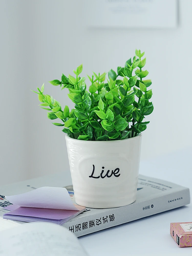 Mini Artificial Flower Rose Eucalyptus Potted for Home Bedroom DIY Decoration Beauty Photo Photography Background Backdrop Props |