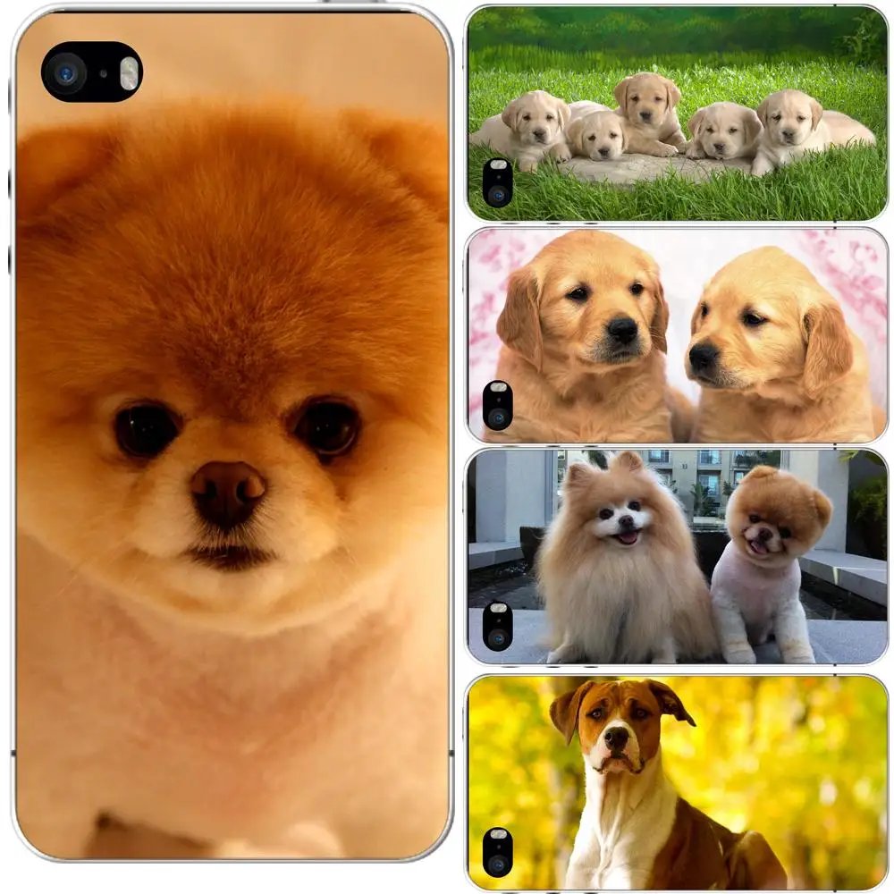 Vcustom 2017 Оптовая продажа 5 штук в партии собаки защитный белый жесткий Пластик чехол для iPhone 5S Чехол Coque Капа|case