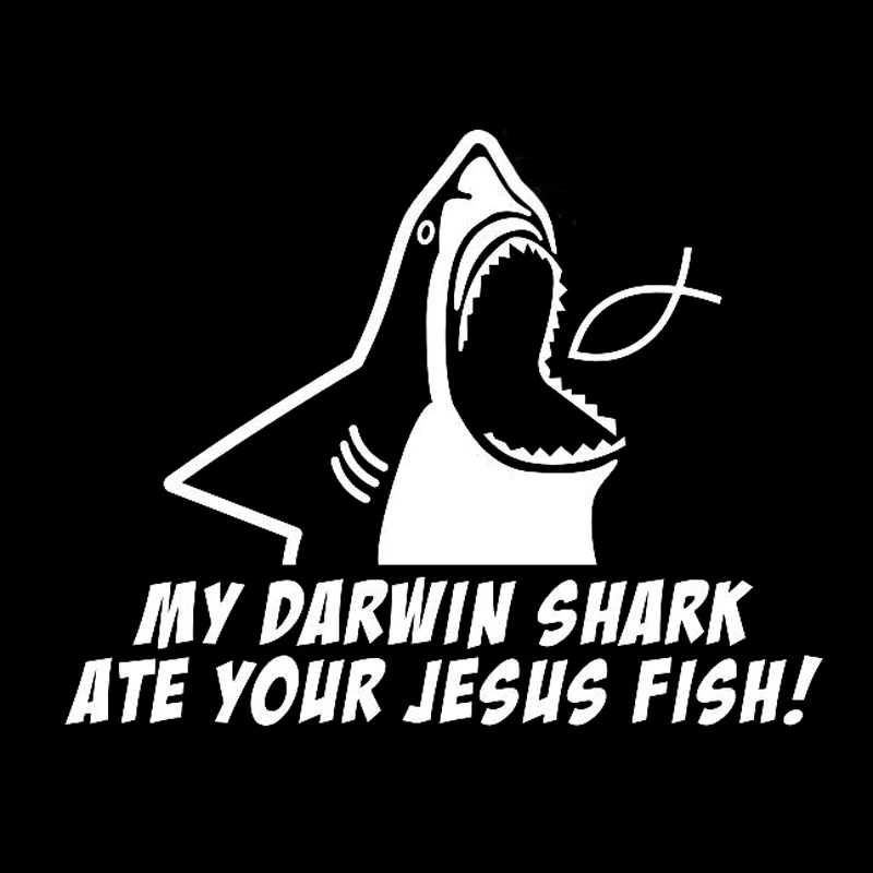 17 1 см * 13 5 My Darwin Shark модная виниловая Автомобильная наклейка для стайлинга Декор S4