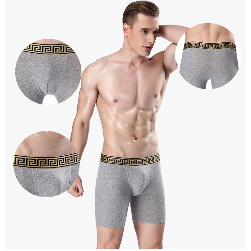 Трусы боксеры Ethika мужские длинные хлопковое нижнее белье шорты Брендовое
