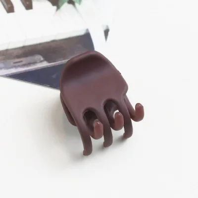 3 Light Brown 5 шт/лот Женские аксессуары для волос скраб акриловые крабы Когти для волос корейский сплошной цвет Мини Детские Заколки для женщин девушка шпилька - Цвет: 3 Light Brown