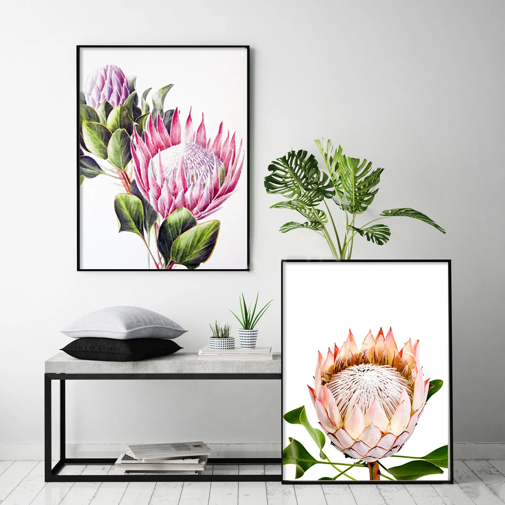 Настенный художественный постер Cuadros King Protea Bloom Современная скандинавский