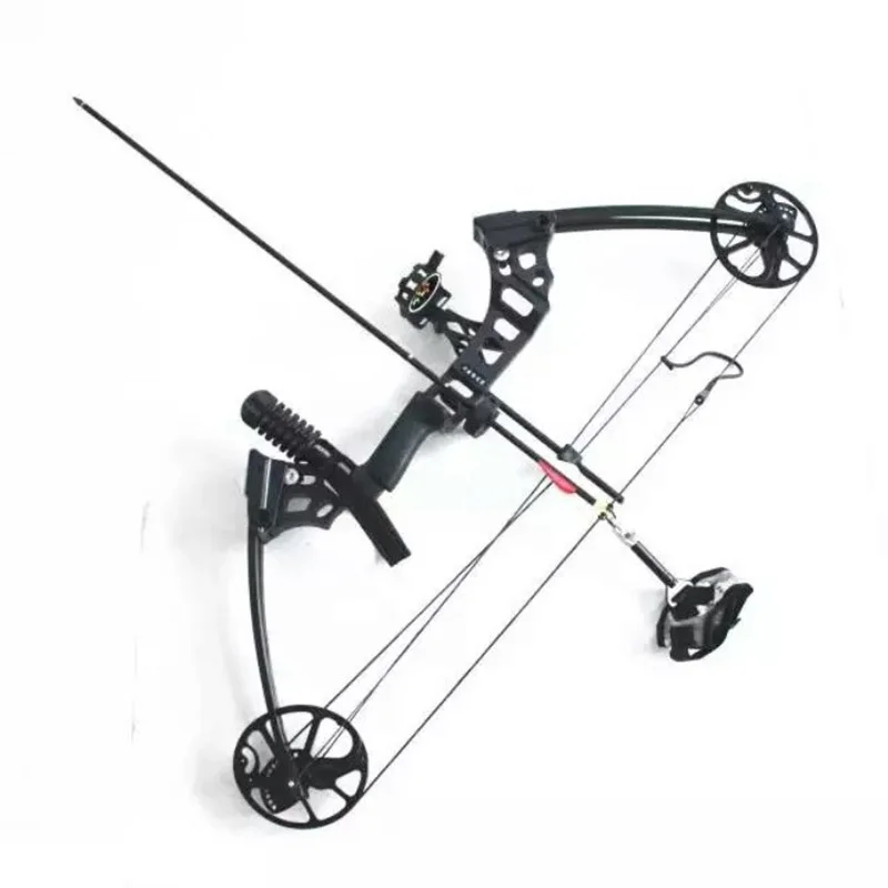 Professional Compound Bow 35-70 lbs Aluminum Alloy Archery Bow Powerful Outdoor Hunting Shooting Bow G10