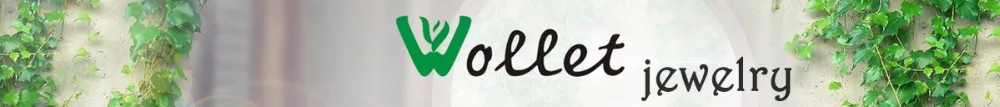 Wollet Ювелирный Титановый магнитный браслет для женщин и мужчин инфракрасный отрицательный ионный магнит забота о здоровье серебристый цвет