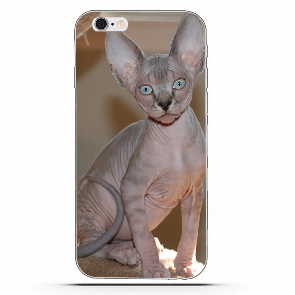 Чехол с кошкой для Samsung Galaxy A3 A5 A7 J1 J2 J3 J5 J7 2015 2016 2017 мягкие прозрачные силиконовые