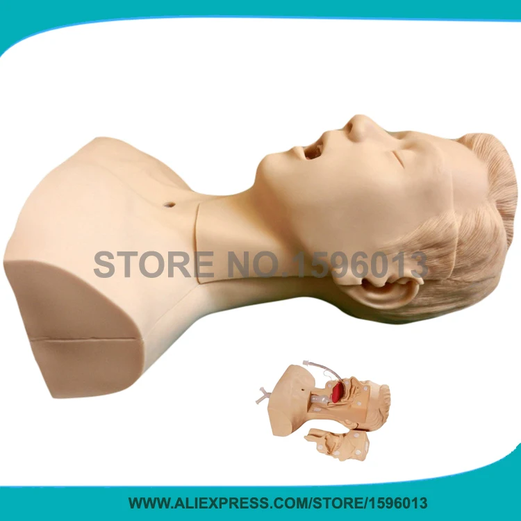 Vivid Suction Training Head Model Medical Teaching Simulation | Канцтовары для офиса и дома