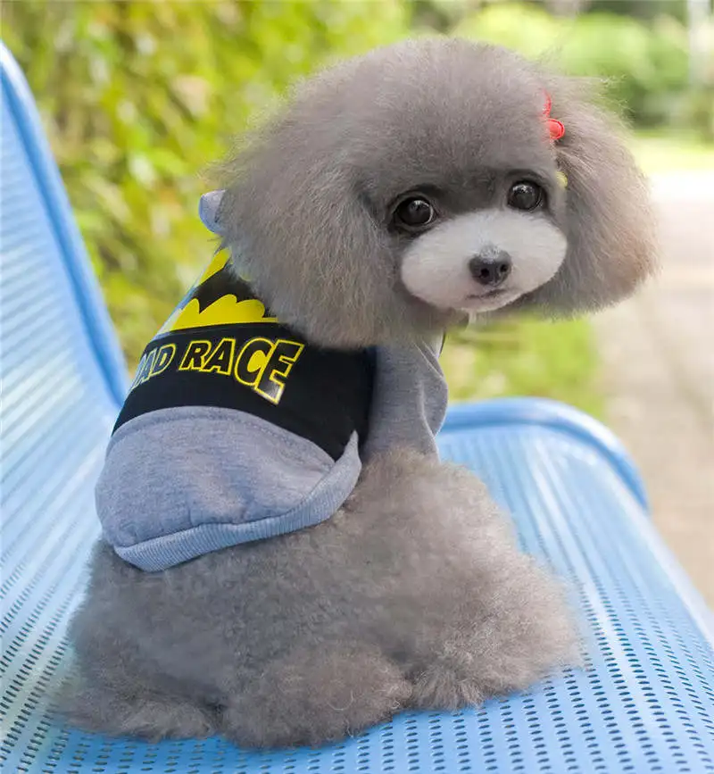 2015 худи для щенков одежда собак с Суперменом маленьких питомцев чихуахуа