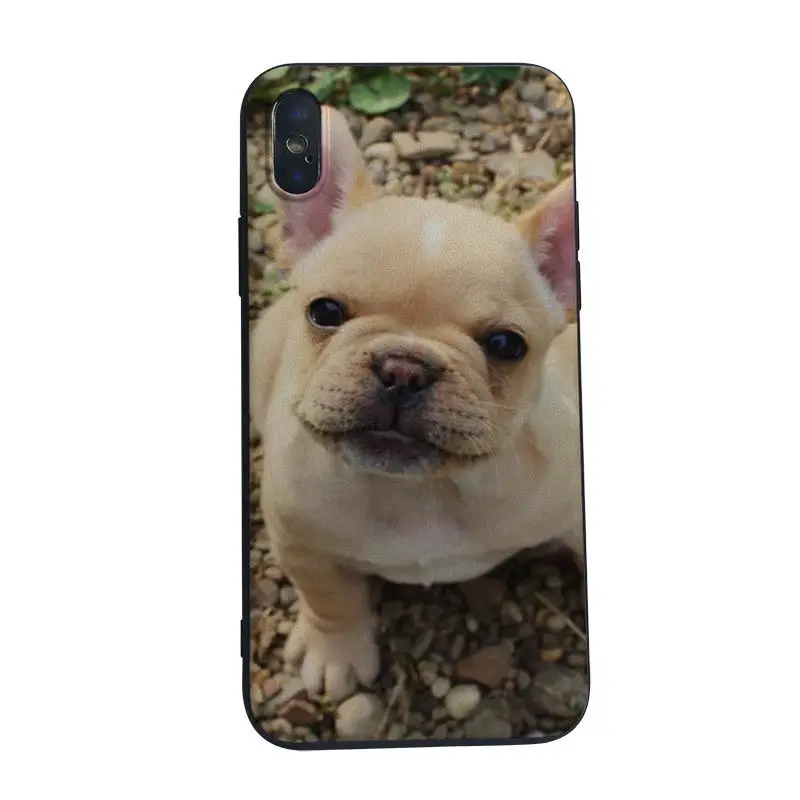 Чехол MaiYaCa Franc Bulldog силиконовый чехол из ТПУ для iphone 5 5s SE 6s 6plus 7 8plus 8 X XS XR XSMAX чехлы