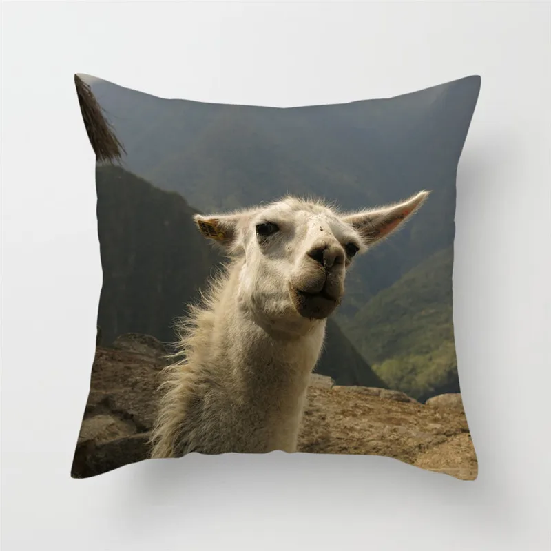 Fuwatacchi милый чехол для подушки с изображением животных милые Альпака печатной