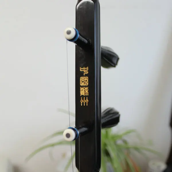 Китайский erhu оптовая продажа суперхороший питоновый кожа превосходный голос