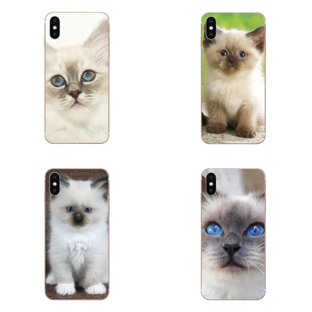 Милая кукла котенок кошка Pet для Galaxy Alpha Note 3 4 10 A10 A20 A20E A30 A40 A50 A60 A70 A80 A90 M10 M20 M30