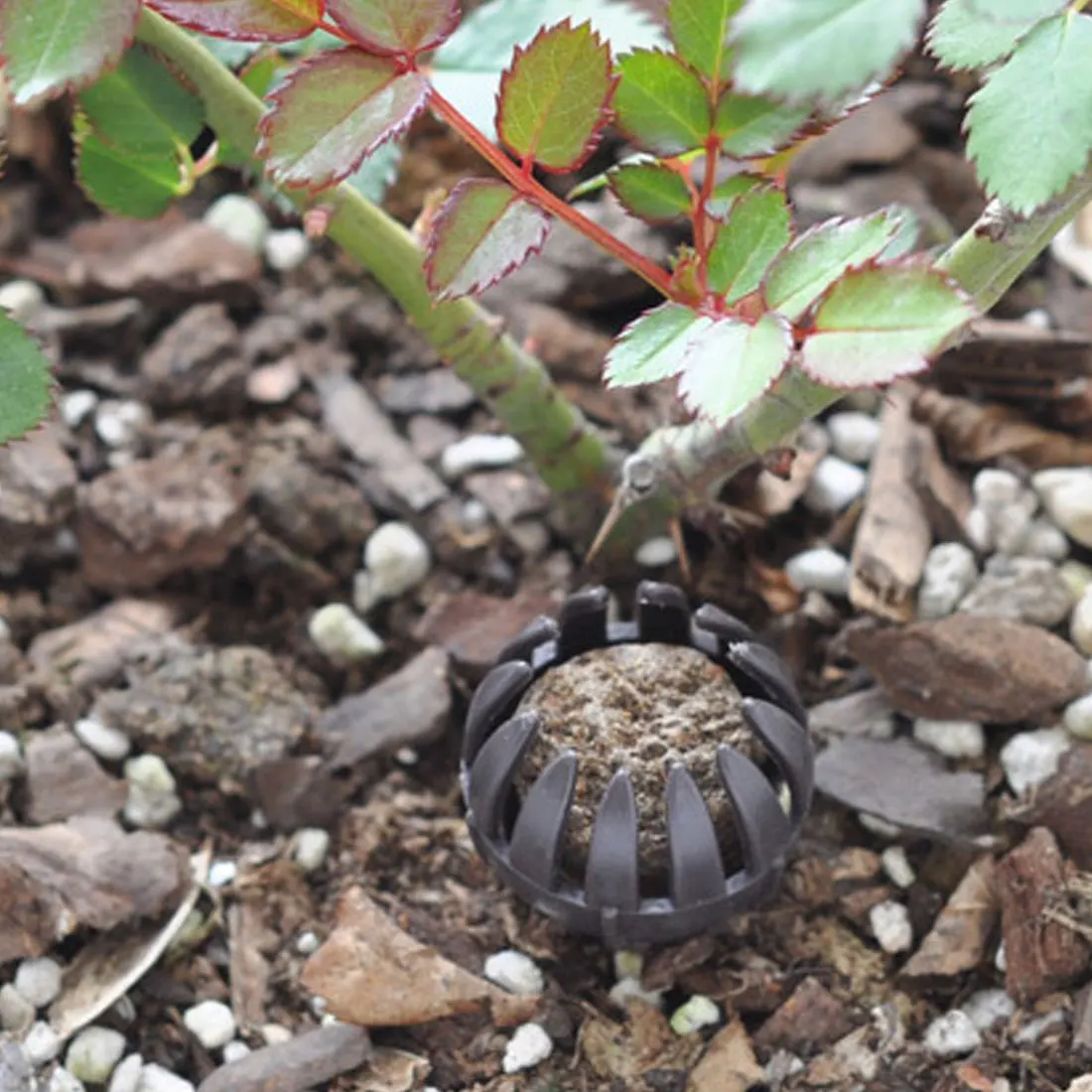 2019 оптом 2 3 см * 5 маленький размер крышка для удобрений пластиковые инструменты