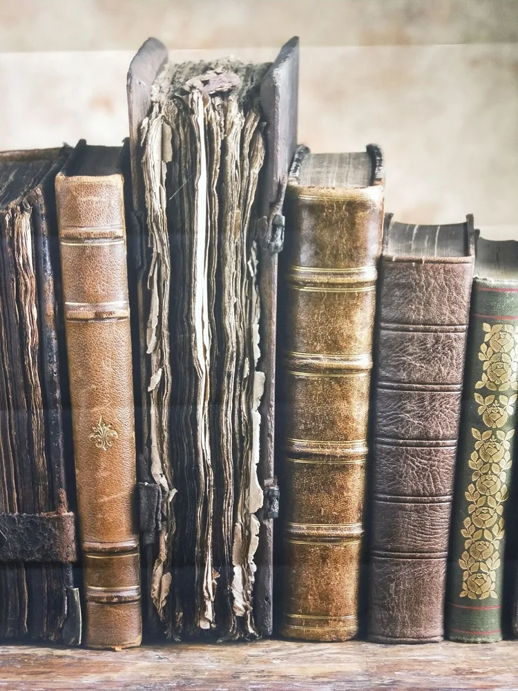 Huayi старинный Виниловый фон для фотосъемки с книгами D 911|books backdrop|backdrops for photographyprops