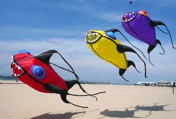 

The new 3D 6M outdoor toy nylon umbrella cloth soft kite is easy to fly