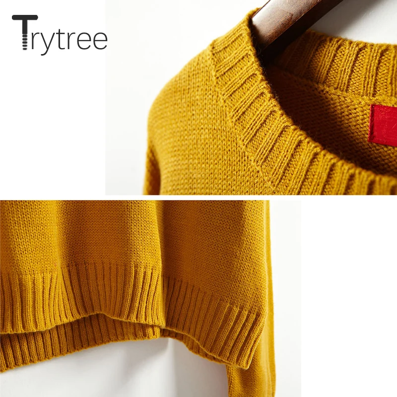 Trytree Женский Повседневный свитер с круглым вырезом осенне-зимний акриловый