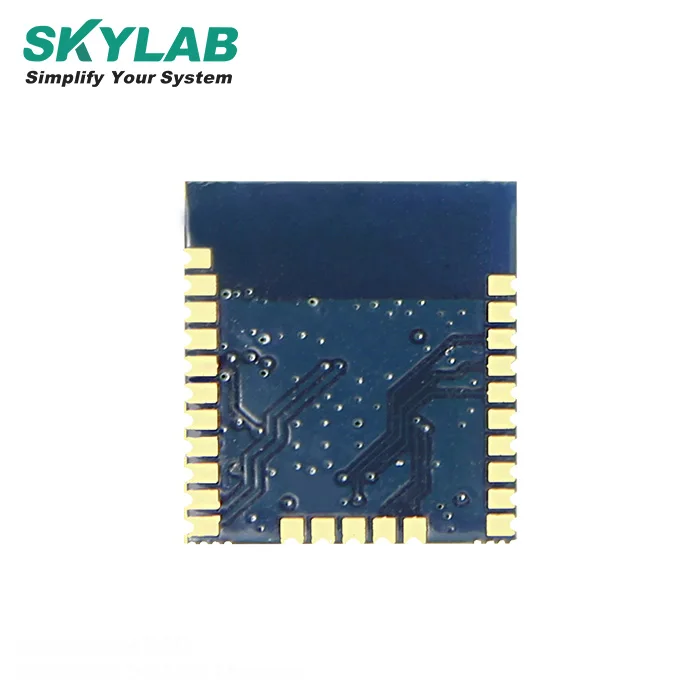 SKYLAB ARM Coretex M4 bluetooth 5 nrf52 скандинавский nRF52840 модуль с внешней антенной и кристаллом