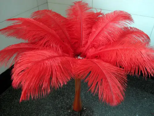 

Hot! Free shipping manufacturers selling 10 PCS Red ostrich feathers 18-20inches/45-50cm