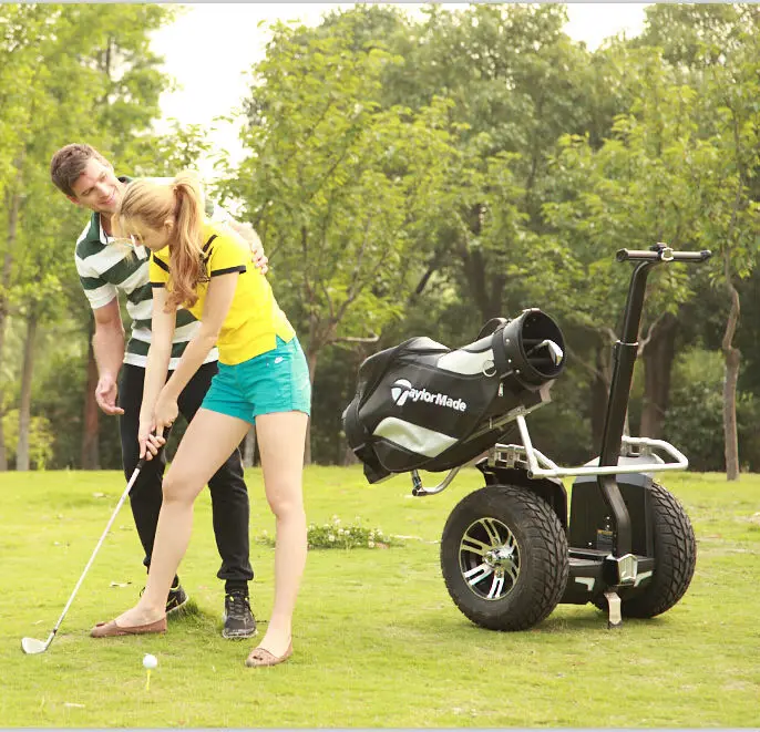 Двухсторонний электрический скутер с кузовом для гольфа 1000 Вт мощный мотор