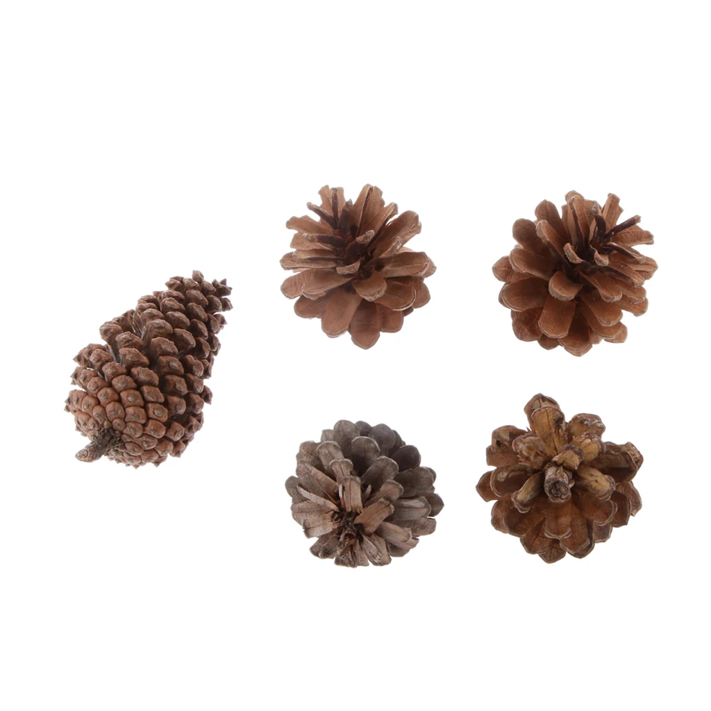 

5 шт натуральные сосновые шишки 4-7 см для Рождественский венок-украшение цветочное ремесло