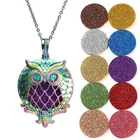 2019 новое красочное винтажное ожерелье-Сова коробка для ароматерапии эфирное масло диффузор медальоны для парфюма кулон ожерелье Модные ювелирные изделия