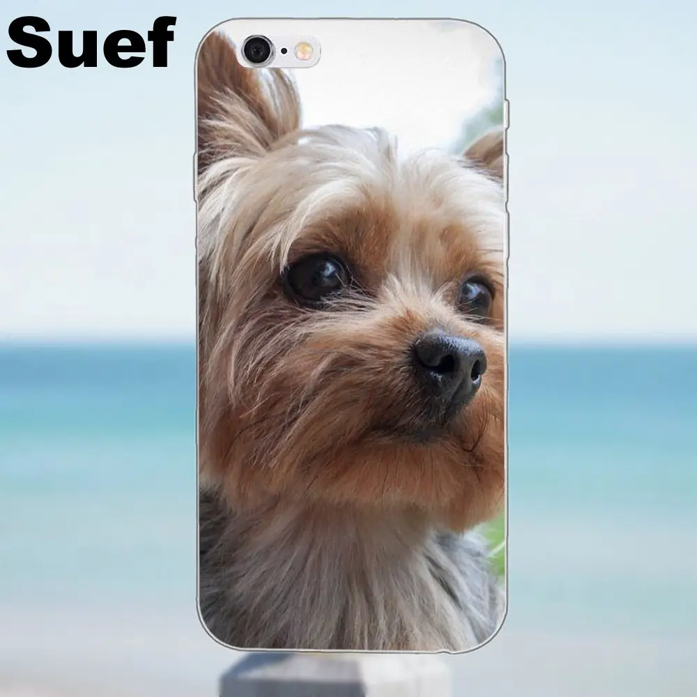Suef йоркширский терьер собака щенок для iPhone 4 4S 5 5S 5C SE 6 6S 7 8 Plus X Samsung Galaxy J1 J3 J5 J7 A3 A5 2016