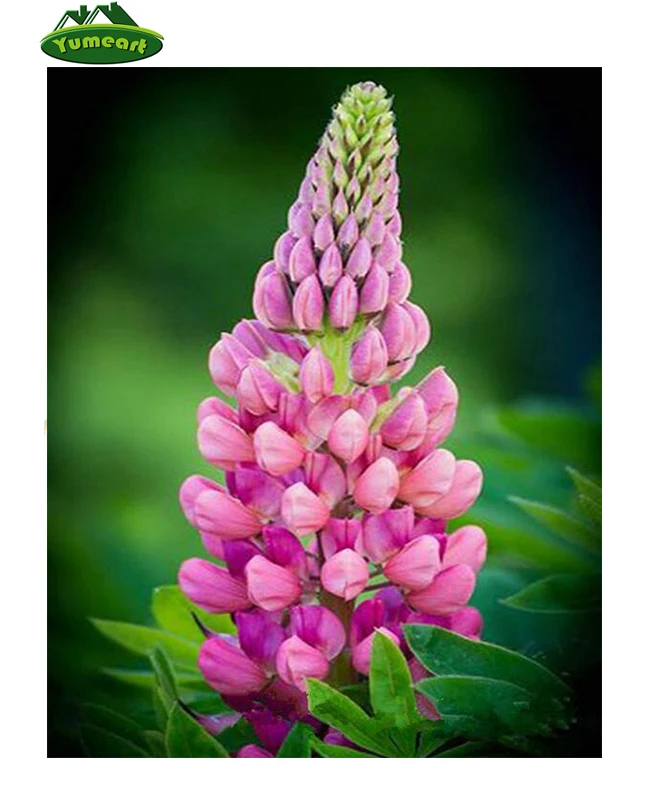 Алмазная 5D картина сделай сам с розовыми цветами вышивка мозаика Стразы алмазная