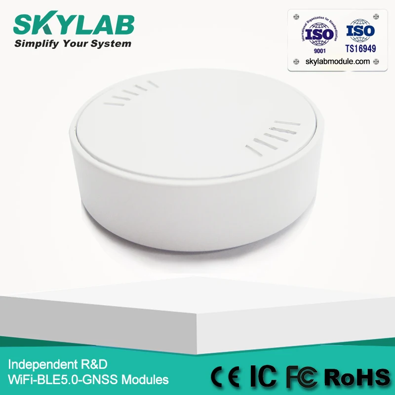 SKYLAB VG01 Bluetooth маячок на Nrodic nRF51822 с Cr2477 CE RoHS FCC Сертифицированный UUID программируемый