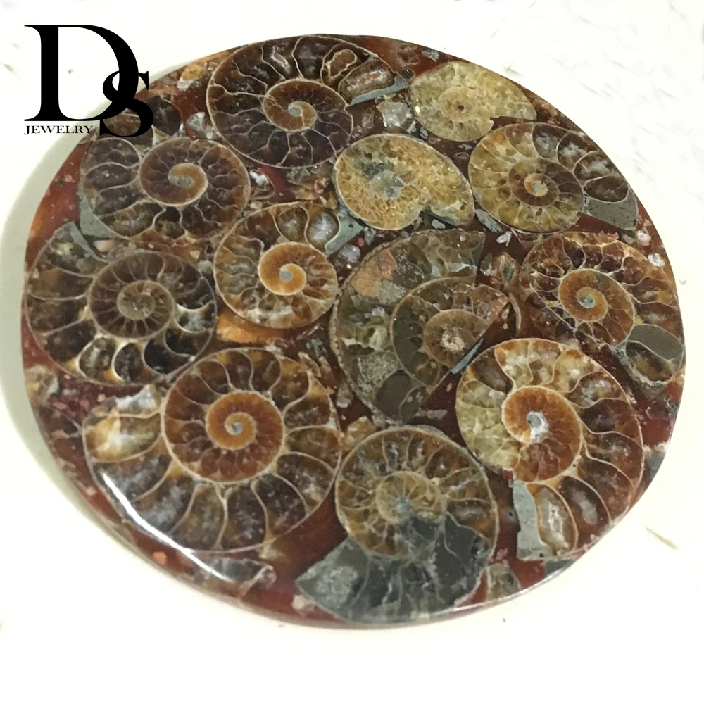 

120mm Natural Ammonite Slice Plate Fossil Slices Ocean Snail Conch Stone Madagascar Mineral Specimen For Decoration Display