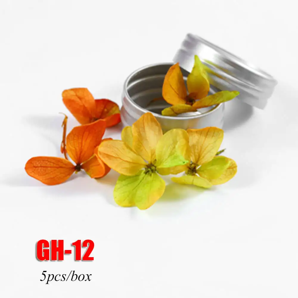 GH-12 5 шт./кор. красочные засушенный натуральный вечная цветочный дизайн ногтей украшения «сделай сам» советы на весь ноготь наклеивающиеся Переводные картинки для детей летний Нейл-арт - Цвет: GH-12