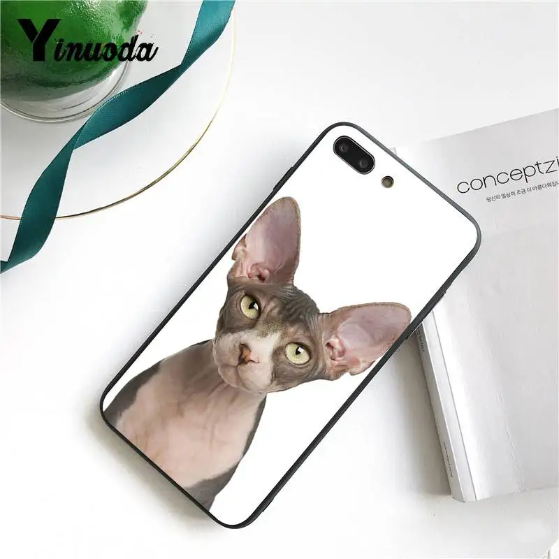 Чехол для iphone 13 7 6 X чехол с татуировкой сфинкса кошка привлекательные аксессуары