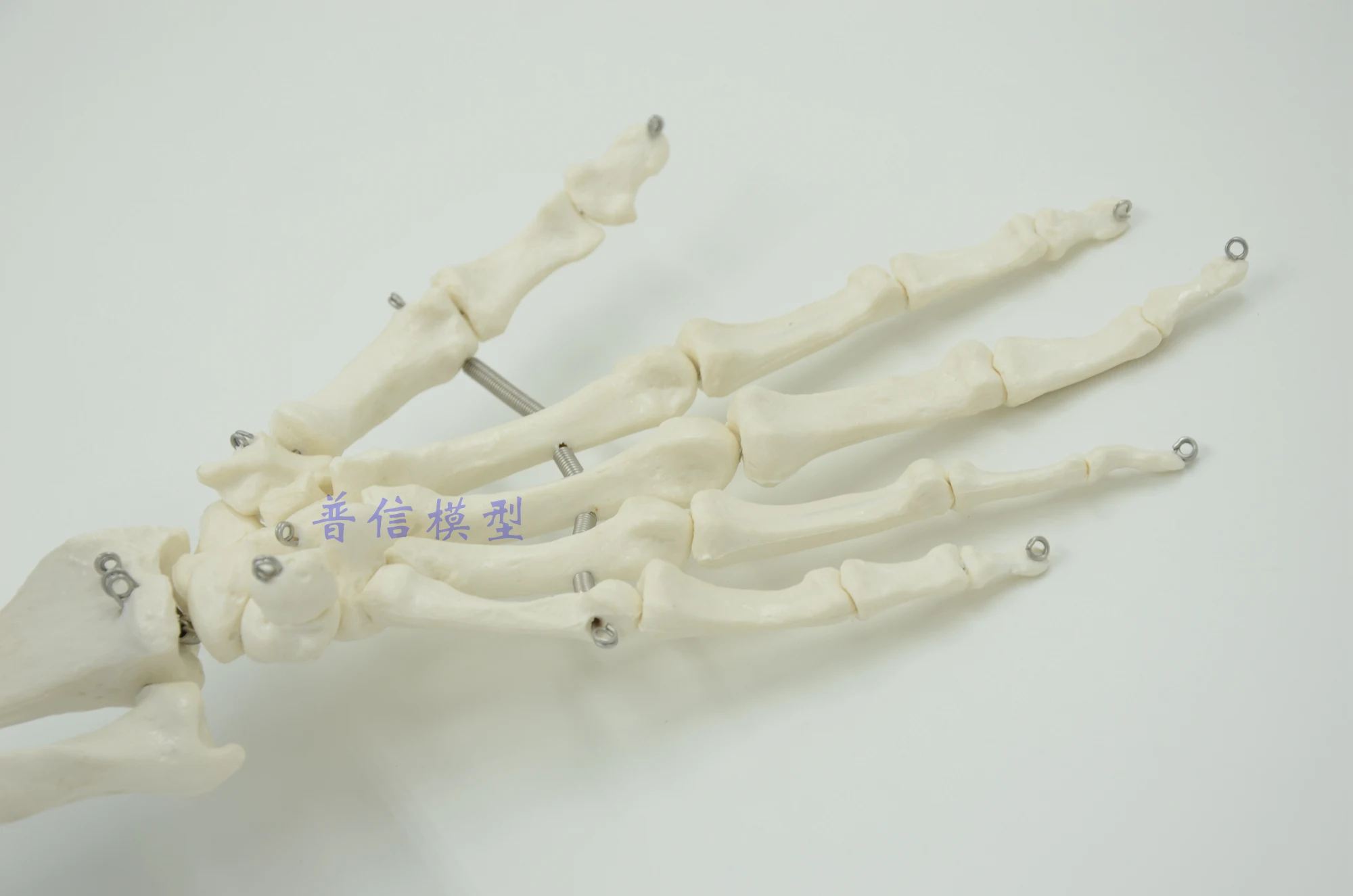 Hand Joint Model Wrist Medical Treatment Ligament Bone School Hospital Educational Supplies | Канцтовары для офиса и дома